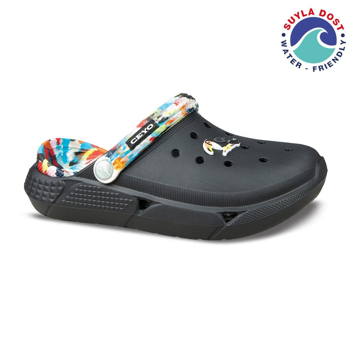 TOUCAN (29-34)