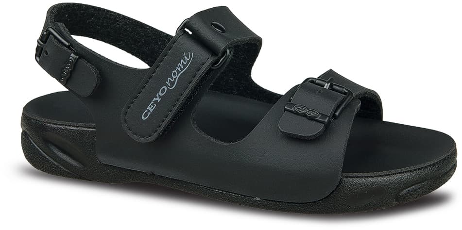 CAPRI-26 (19-34)